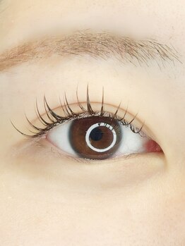 ティプリ(Tipre)の写真/まつげの美しさは、あなたの個性を映す鏡☆まつげに悩むすべての方へ、上質な仕上がりと自信を。