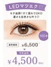 学割U24【夏休み親子キャンペーン】LEDマツエク100本￥6500