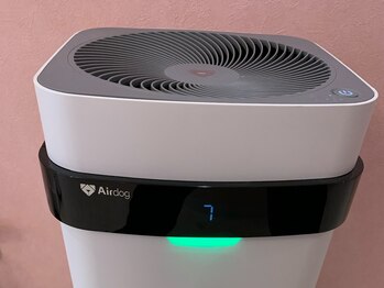 ベル(Belle)/高機能空気清浄機