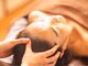 ザ サロン(THE SALON)の写真/ヒト幹細胞入り炭酸ローションを使用したドライヘッドスパ(デコルテマッサージ付)◆心と身体の癒し時間を。