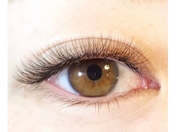 カシェット(Cachette)/OPEN記念まつエクキャンペーン