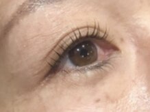 ピクシーボブ(Pixie Bob)/★マツパ、直角スタイル