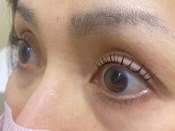 ウルカ アイラッシュ(uruka EYELASH)/ラッシュリフト