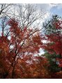 ゴールデンエイジ 吉祥寺(GOLDEN AGE) 国内旅行が好きでたまーにご褒美に一人旅へ出掛けます!
