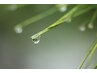【雨の日】限定! ボディケア80分 ☆30%OFF☆ ¥6770