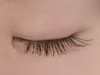 カラン 焼津店(CALIN)/フラットラッシュ120本♪