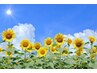 お疲れ夏を乗り切ろう！