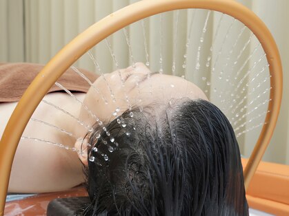 漢方頭療の写真
