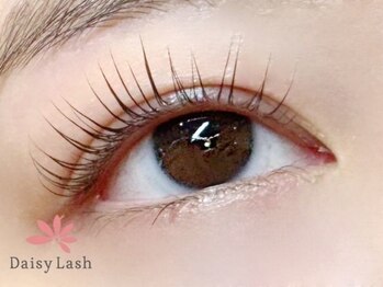デイジーラッシュ 神戸三宮店(Daisy Lash)/まつげパーマ/パリジェンヌ/神戸