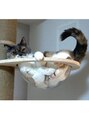 エサージュ 吉祥寺店 甘えん坊の三毛猫を飼っています♪毎日の癒しです!