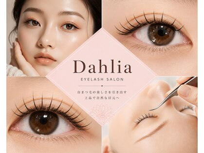 ダリア(DAHLIA)の写真