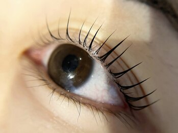 アイラッシュサロンラコタ 池袋東口店(RACOTA)/ラッシュリフト