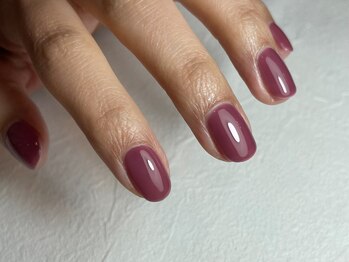 ラポール(Rapport)/ワンカラー