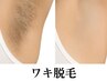 ワキ脱毛