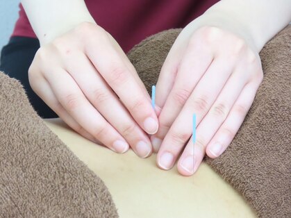 リラクマ(RIRAKUMA)の写真