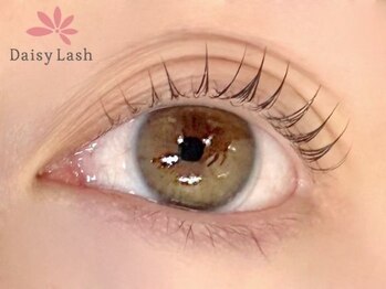 デイジーラッシュ 神戸三宮店(Daisy Lash)/まつげパーマ/パリジェンヌ/神戸