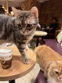 ミラ 高田馬場(Mira) 猫がとても好きで猫カフェに通ってます♪