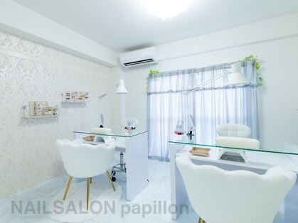 パピヨン(papillon)の写真