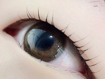 チュリップサカエ(Tulipe sakae)/まつげパーマ