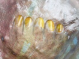 2026.3月マンスリーデザイン