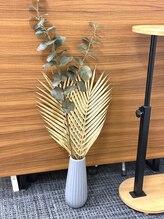 もみほぐしソルブ(もみほぐしSolve)/グリーンでなごみ