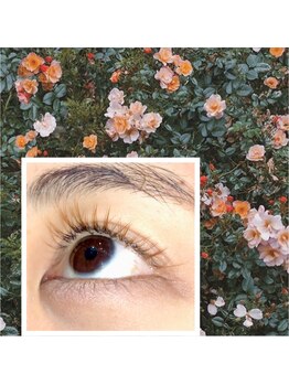 シルフ 松原店(Sylph)/Eye Beauty Salon Sylph 松原店