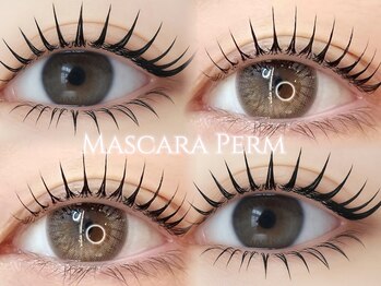 ピュア(PURE)/マスカラパーマ