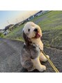 ヴィーライン 新横浜院(VeLine)&nbsp;動物大好きです。大阪の家にいる1歳の愛犬です。
