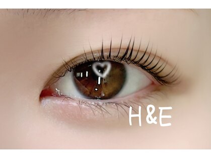 エイチアンドイー 二俣川(H&E)の写真
