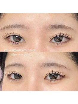 ヴィーナス(Venus)/パリエク80本