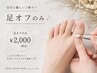 (ワンカラー、マグネット)足オフのみ￥3000