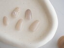 シンプル定額デザイン