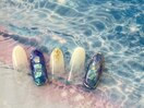 7月【定額】トレンドコース