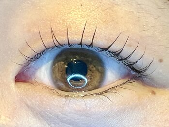 レミア 関内(REMIA)/5月 まつげパーマ