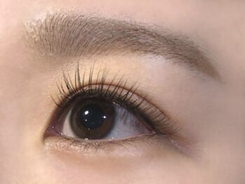 ルミエール(Lumiere)/ [フラットマットラッシュ]