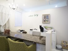 エステティック アイビー(ivy)/エステティック ivy　内観