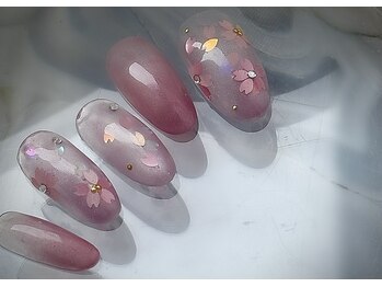 定額ベーシックコース