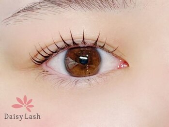デイジーラッシュ 神戸三宮店(Daisy Lash)/まつげパーマ/パリジェンヌ/神戸