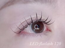 リモア(Re:more)/LEDフラットラッシュ120本