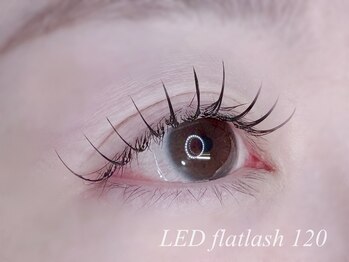 リモア(Re:more)/LEDフラットラッシュ120本