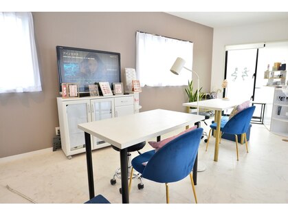 ジェルベーラ(Gerbera)の写真