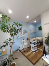 リリウム(Lilium)