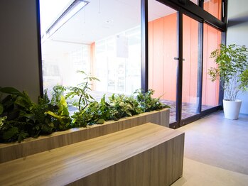 クロムネイル(CHROMNAIL)/グリーンのあるベンチ