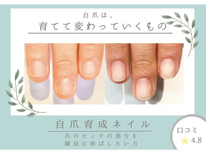 ニコプラス(NICO+)の写真
