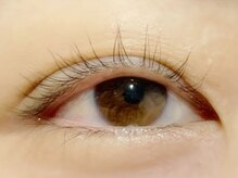 プラス ワン(+ONE)/まつ毛パーマ