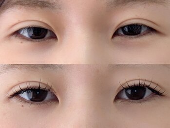 シャール(shall)/マツエク/LED/フラットラッシュ