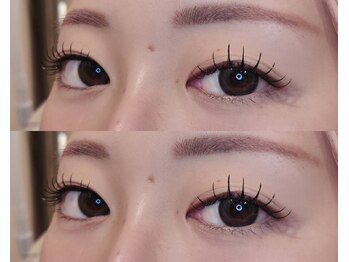 ネオリーブサイン(Neolive sign)/フラットラッシュ100本