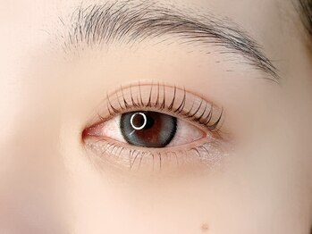 ビュップ 鶴ヶ峰店(美up)の写真/【まつ毛パーマ ¥4000～】“ぱっちり可愛く見せる”魅力たっぷりのカール感♪いつもより明るい雰囲気に☆