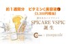 【3,300円相当の美容液付！】 スキンケアフェイシャルWAX　10,500円