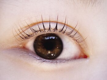 クラリスバイネオ 武蔵小杉(Claris by neo)/パリジェンヌラッシュリフト